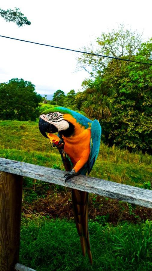 Hostal Mama Tayrona Calabazo  Екстериор снимка