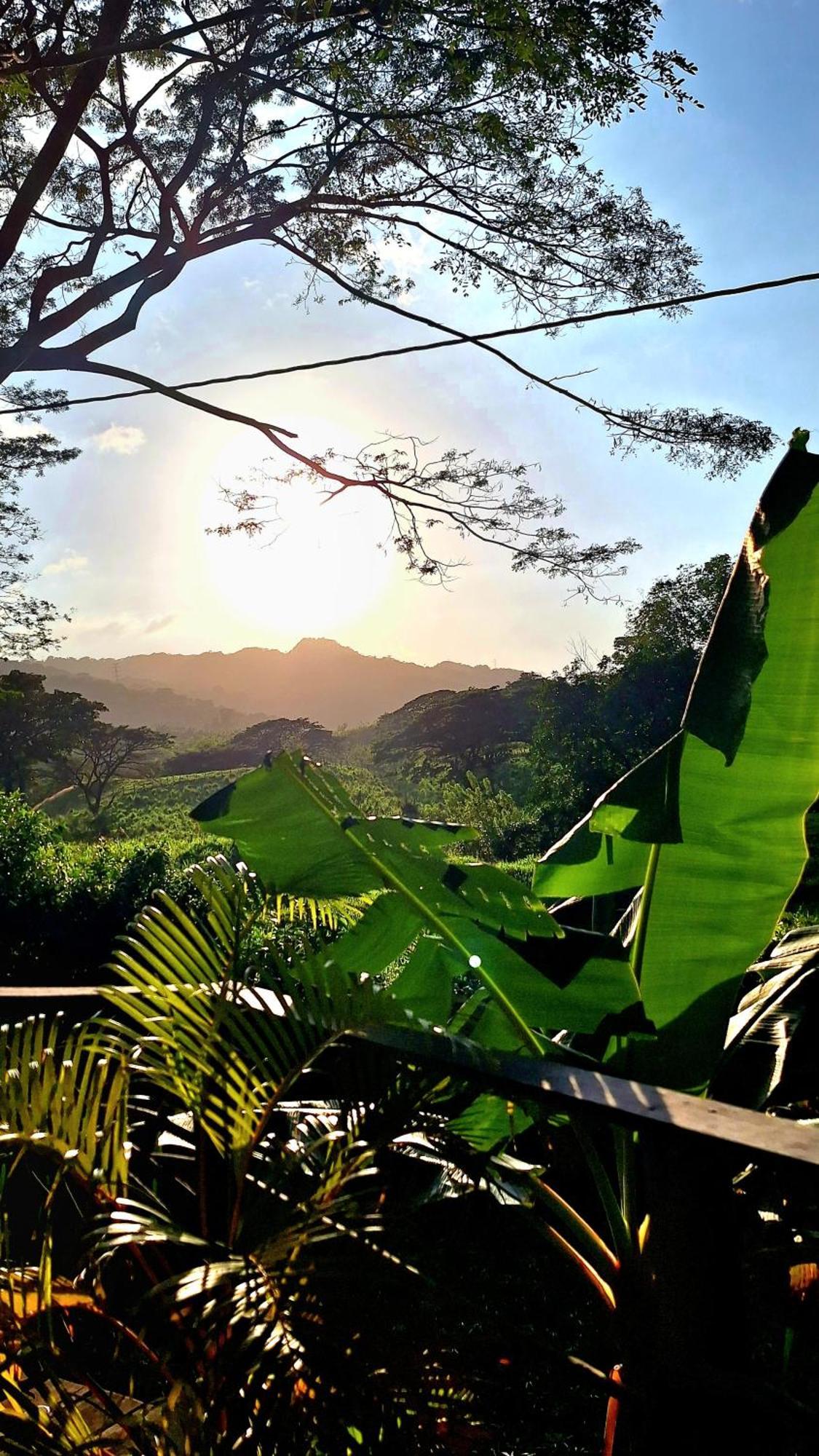 Hostal Mama Tayrona Calabazo  Екстериор снимка