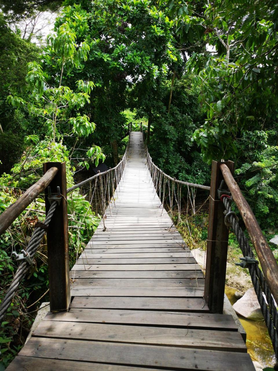 Hostal Mama Tayrona Calabazo  Екстериор снимка