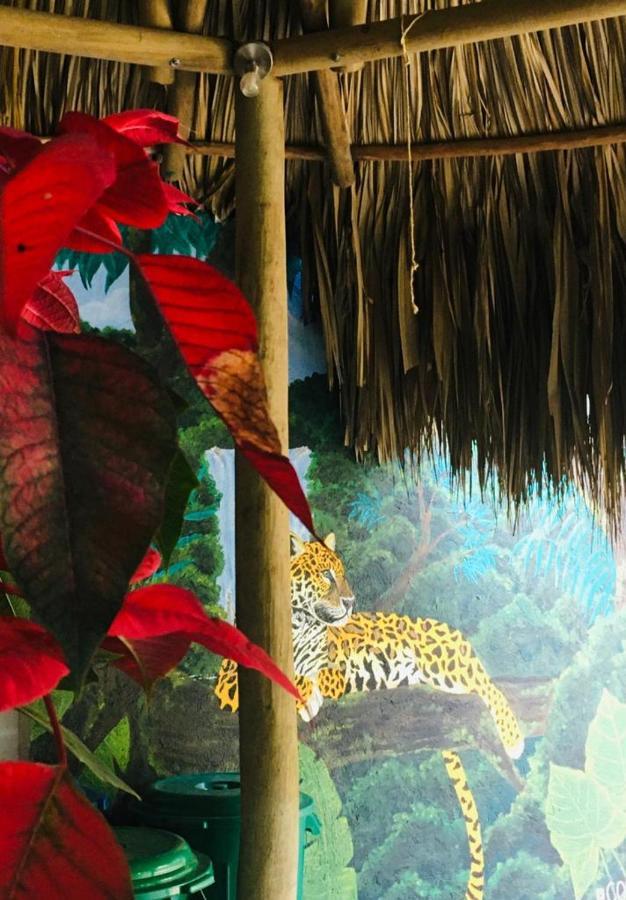 Hostal Mama Tayrona Calabazo  Екстериор снимка